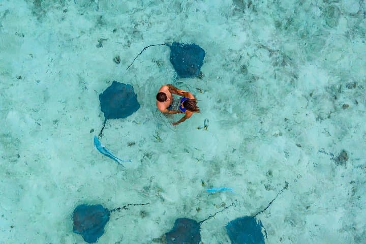 Bora Bora Eco Snorkel Cruise: Sharks, Rays and Coral Garden Lagoon Guide photo 2