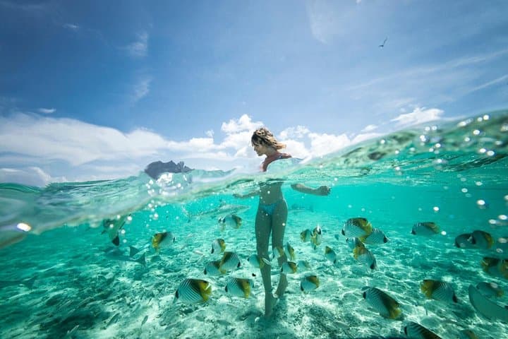 Bora Bora Eco Snorkel Cruise: Sharks, Rays and Coral Garden Lagoon Guide photo 6