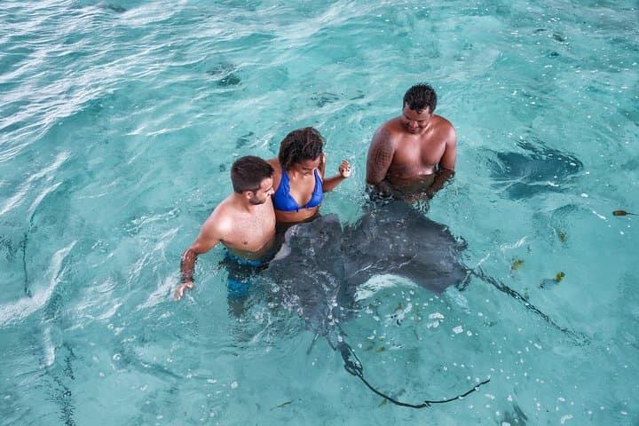 Bora Bora Eco Snorkel Cruise: Sharks, Rays and Coral Garden Lagoon Guide