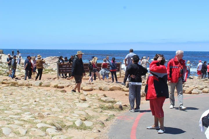 Cape of Good Hope, Table Mountain & Boulders Beach Day Tour from Cape Town photo 3