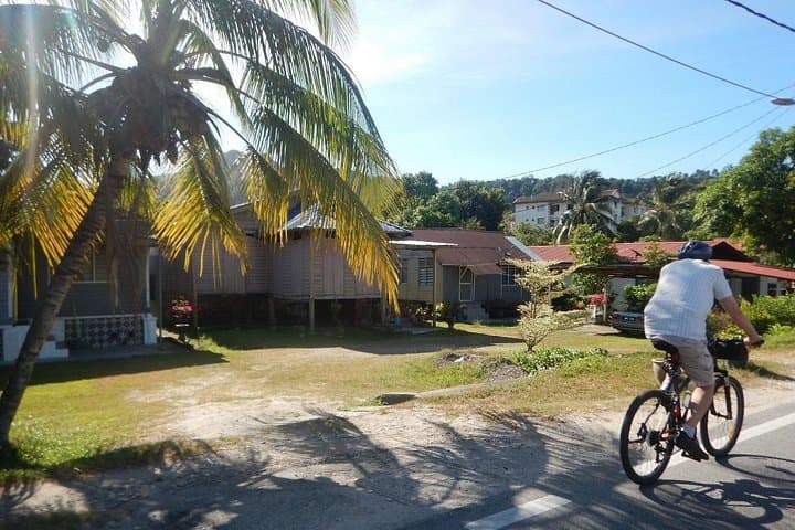 Morning Riverside Cycling from Kuala Lumpur: Cultural Village Ride (20 km) photo 2