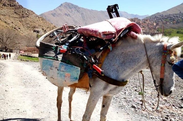 Atlas singletrack day ride from Marrakech: Imlil to Azaden descent photo 2