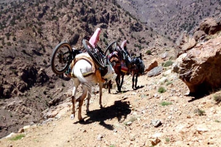 Atlas singletrack day ride from Marrakech: Imlil to Azaden descent