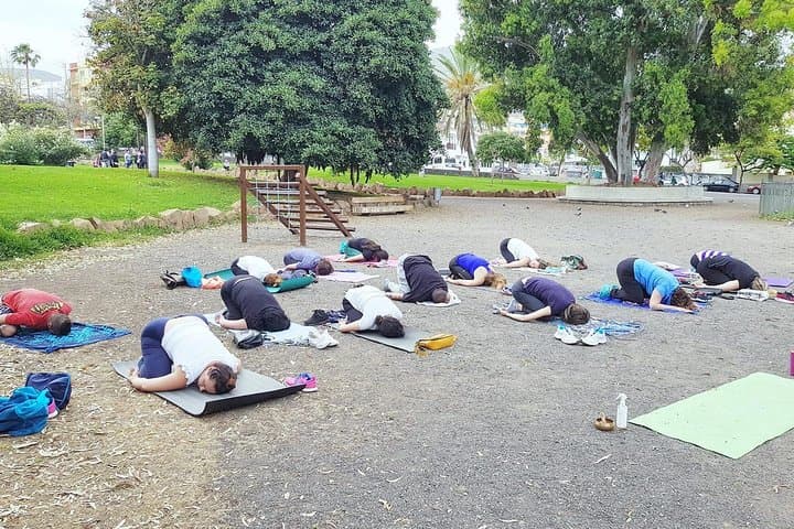 Seafront Sunrise Yoga with Ale in Tenerife — 75-Minute Private Hatha Vinyasa Session photo 4