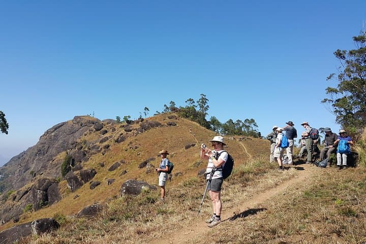 Ridge Trek from Tea Plantations to Shola Forest in Munnar
