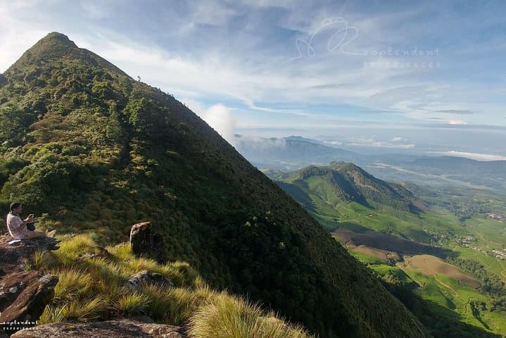 Ridge Trek from Tea Plantations to Shola Forest in Munnar photo 4