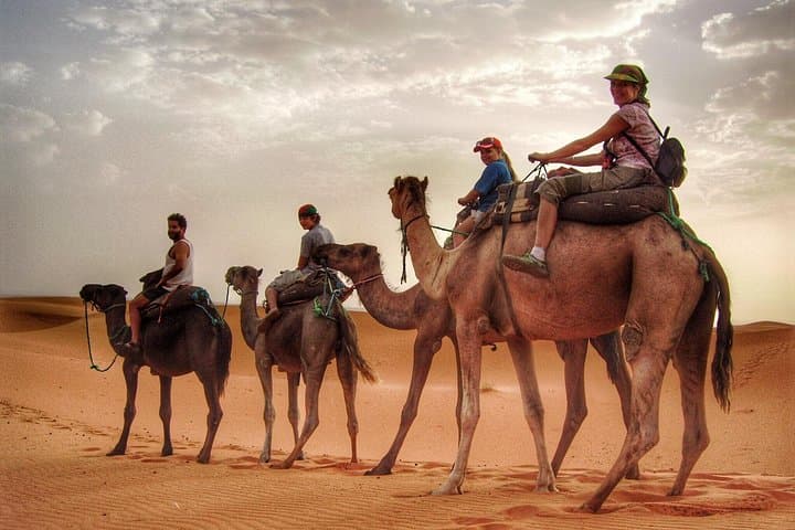 Morning Camel Trekking with Dune Bashing & Sand Boarding in Dubai Desert