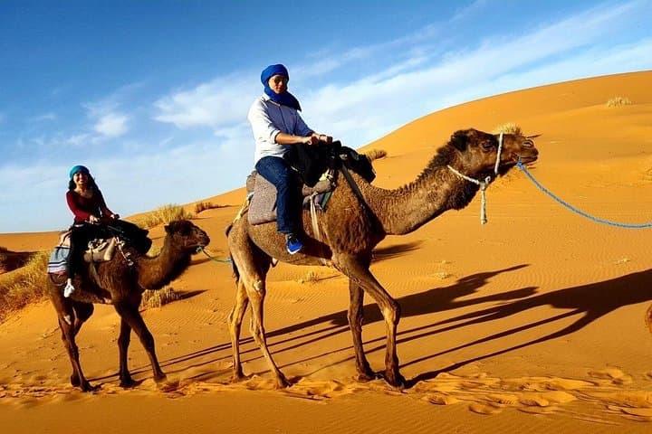 Morning Camel Trekking with Dune Bashing & Sand Boarding in Dubai Desert photo 3