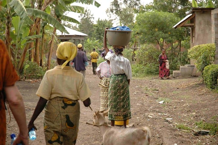 Coffee Walk Day Trip from Arusha: Organic Farm, Roastery & Village Lunch photo 5