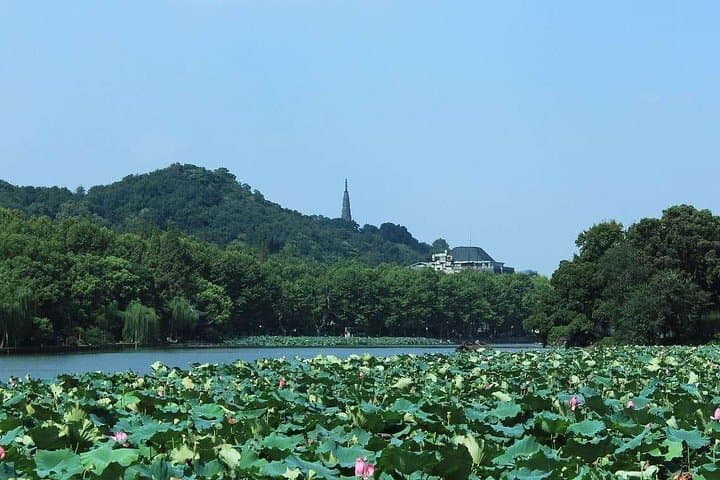 Hangzhou West Lake & Meijiawu Tea Village: Private Day Tour from Shanghai photo 3