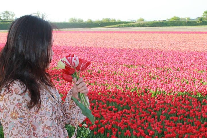 Sunrise Tulip Fields Photography Tour near Keukenhof photo 4