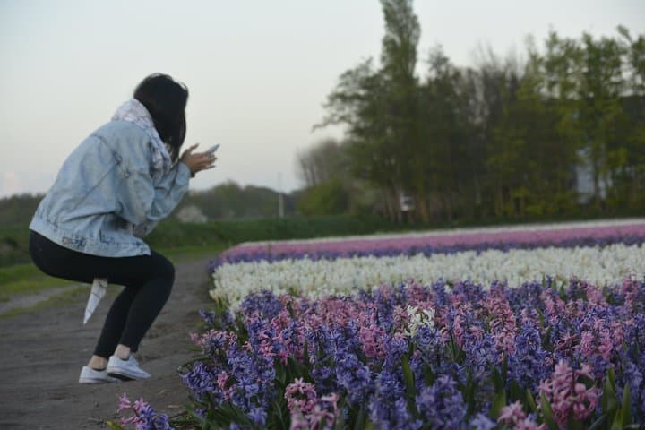 Sunrise Tulip Fields Photography Tour near Keukenhof photo 5