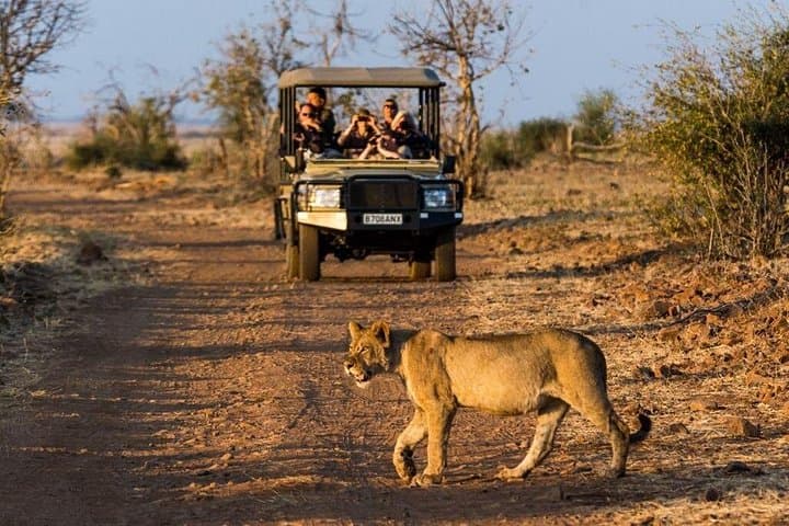 Half-Day Chobe Safari with Lunch: Boat Cruise and 4x4 Game Drive from Kasane photo 2