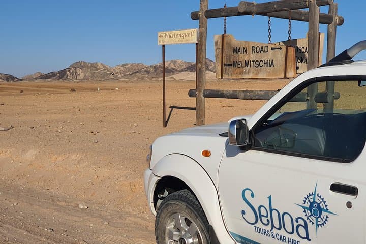 Moon Landscape & Welwitschia Plains: Half-Day Namib Desert Tour from Swakopmund
