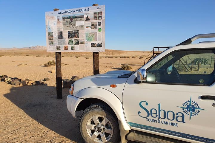 Moon Landscape & Welwitschia Plains: Half-Day Namib Desert Tour from Swakopmund photo 2