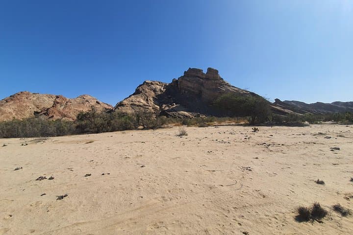 Moon Landscape & Welwitschia Plains: Half-Day Namib Desert Tour from Swakopmund photo 3