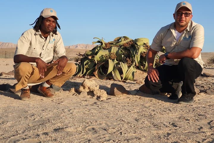 Moon Landscape & Welwitschia Plains: Half-Day Namib Desert Tour from Swakopmund photo 4