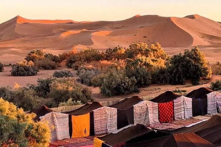Zagora Desert Overnight from Marrakech: 2-Day Camel Trek & Berber Tent Experience photo 6