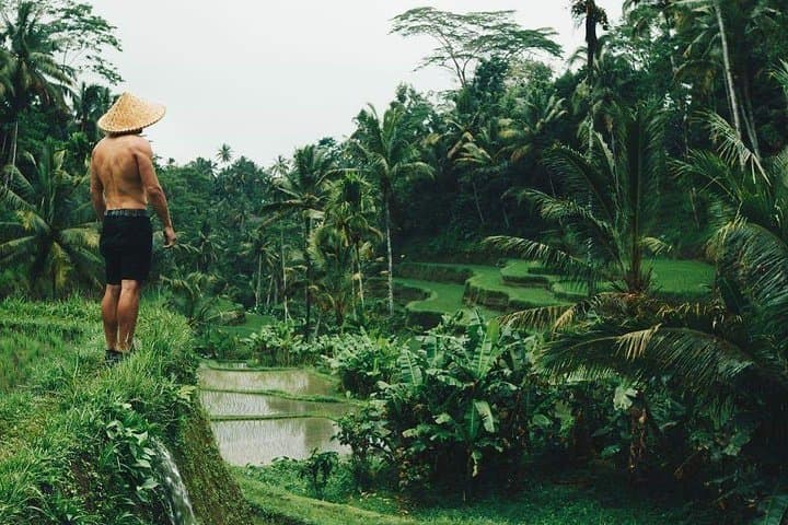 Ubud One-Day Highlights: Tegallalang Rice Terraces, Jungle Swing & Waterfall Private Tour photo 1