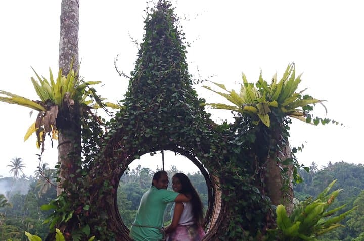 Ubud One-Day Highlights: Tegallalang Rice Terraces, Jungle Swing & Waterfall Private Tour photo 4
