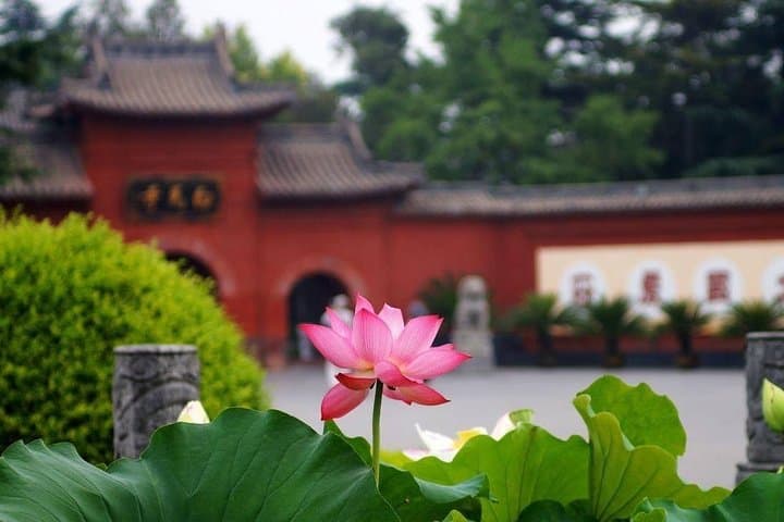 2-Day Private Tour: Shaolin Temple & Longmen Grottoes from Qingdao photo 3