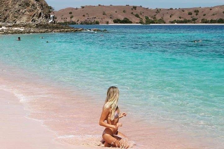 One-Day Komodo Sailing: Padar Views, Pink Beach & Manta Encounters photo 2