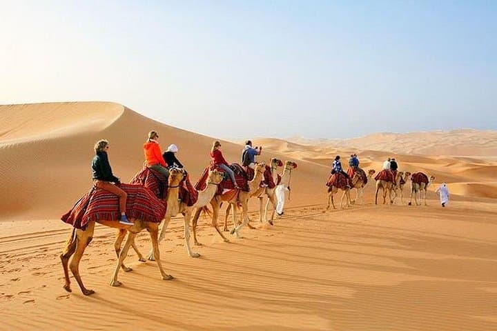 Morning Desert Safari in Abu Dhabi — Dune Bashing, Camel Rides & Sandboarding photo 3
