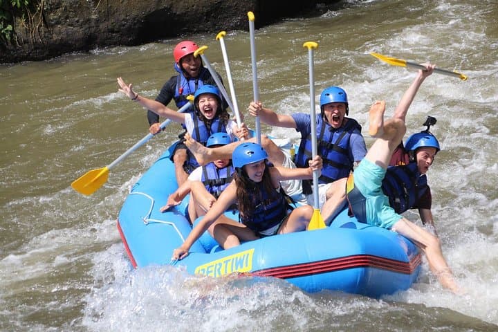 Ayung River Rafting & Ubud Full-Day Adventure: Rafting, Monkey Forest, Rice Terraces photo 2
