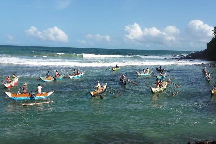 South Sri Lanka: 3-Day Coastal Explorer & Yala Safari photo 3