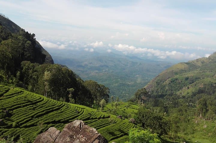 South Sri Lanka: 3-Day Coastal Explorer & Yala Safari photo 4