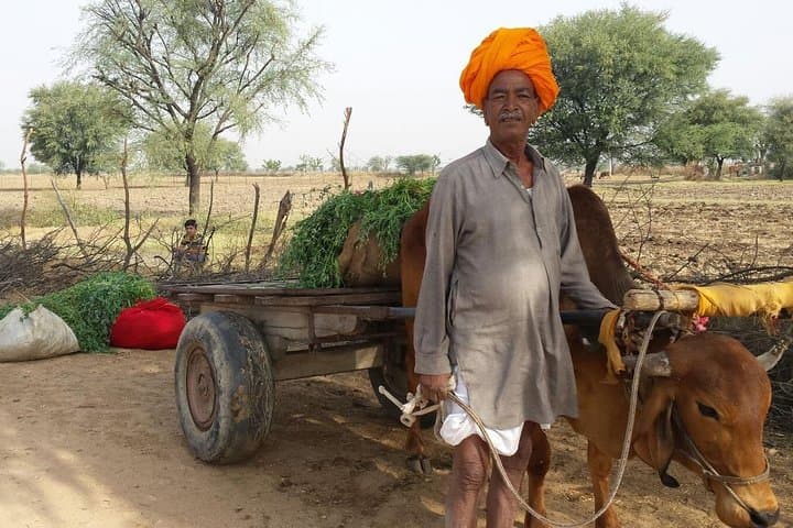 12-Day Royal Rajasthan & Golden Triangle Heritage Tour — Delhi, Agra, Jaipur to Jaisalmer