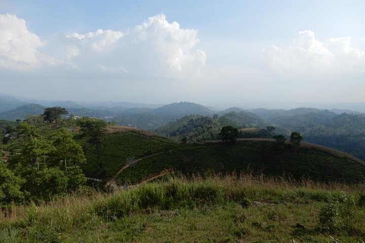 Pansalthanna Ridge Trek: 6km Tea-Plantation Hike Near Matale, Sri Lanka photo 6