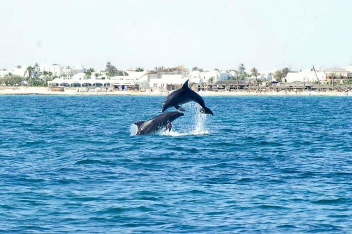 Djerba Snorkel: Shallow Caves, Rays & Octopus in Calm Mediterranean Water