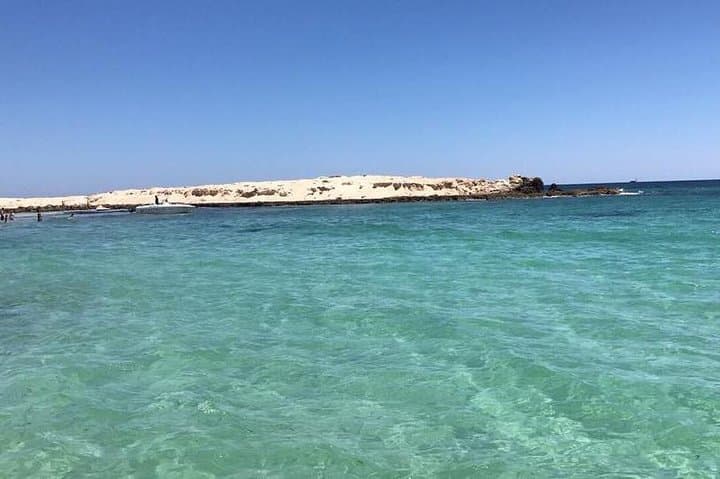 Djerba Snorkel: Shallow Caves, Rays & Octopus in Calm Mediterranean Water photo 2