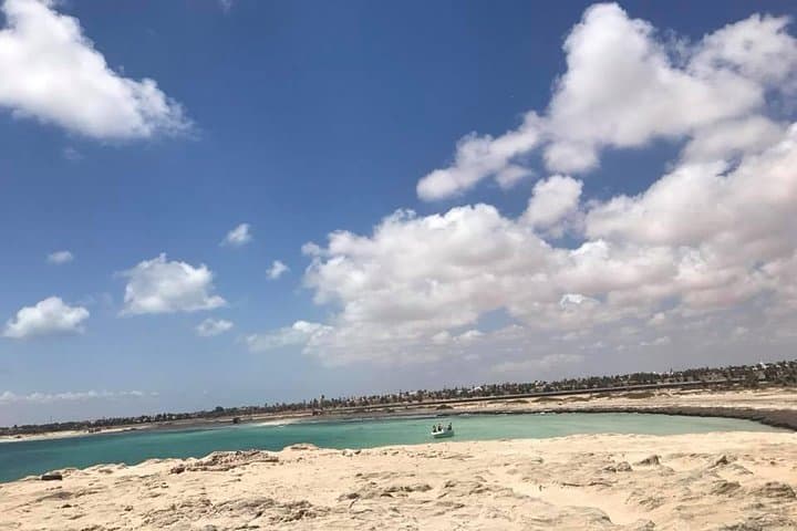 Djerba Snorkel: Shallow Caves, Rays & Octopus in Calm Mediterranean Water photo 3