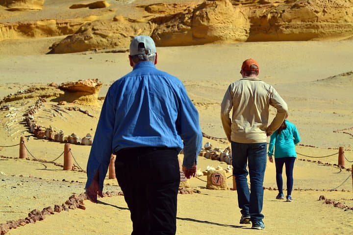 Full-Day Fayoum Oasis Private Tour: Wadi El-Hitan, Sandboarding & Magic Lake from Cairo photo 3