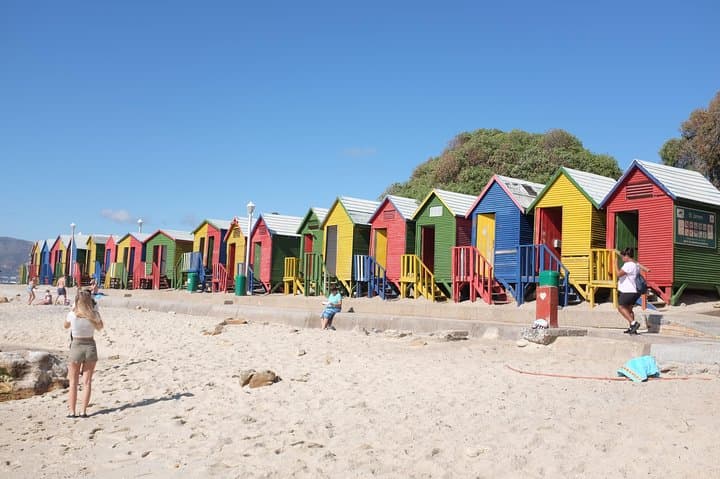 Cape Peninsula Full-Day: Cape of Good Hope, Boulders Beach Penguins & Wine Tasting photo 2