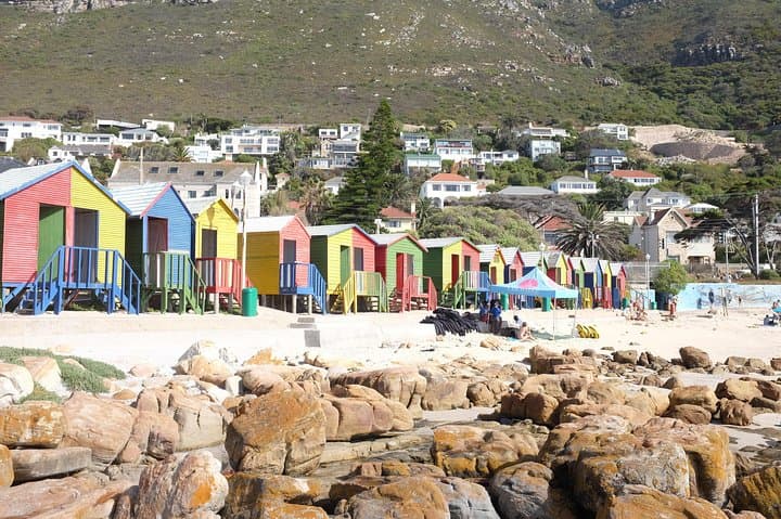Cape Peninsula Full-Day: Cape of Good Hope, Boulders Beach Penguins & Wine Tasting photo 4
