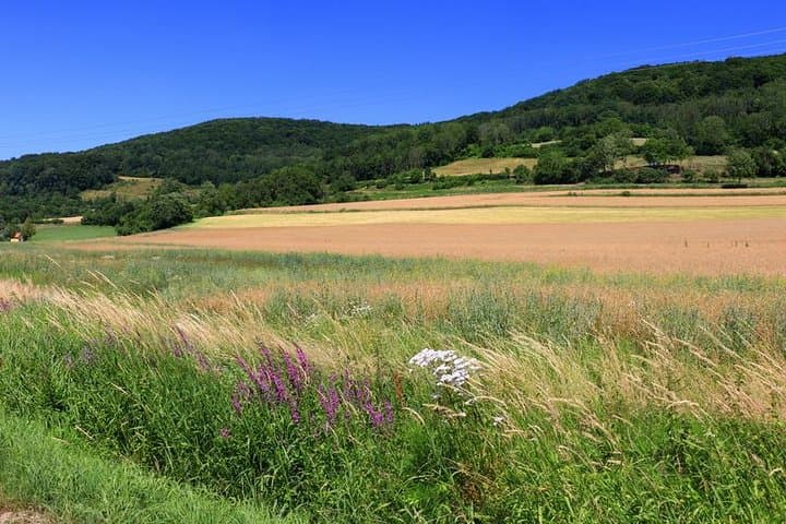Bamberg Brewery Hike: Franconian Countryside Beer Trail photo 3