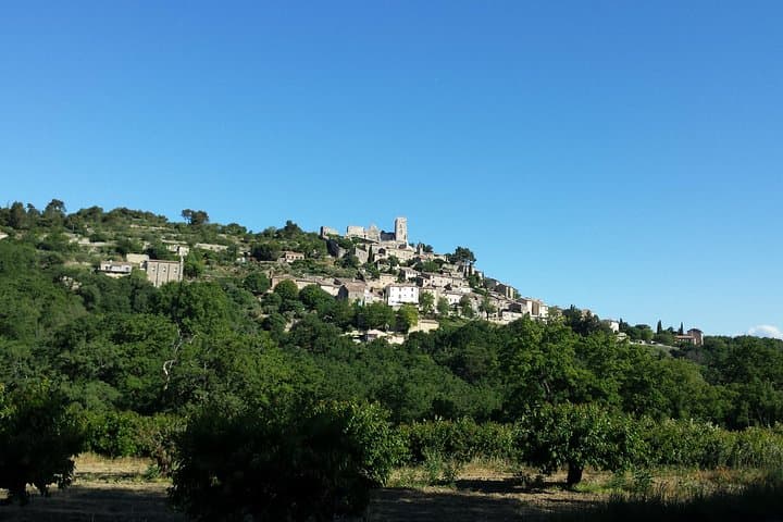 Luberon, Roussillon & Gordes Half-Day Tour from Avignon — Abbeys, Ochre Cliffs & Lavender Views photo 5
