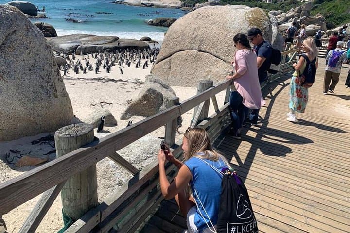 Full-Day Cape Peninsula and Table Mountain Private Tour — Cape Town Highlights photo 2