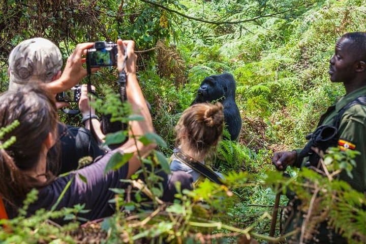 48-hour-gorilla-trek-from-kigali-to-bwindi photo 3