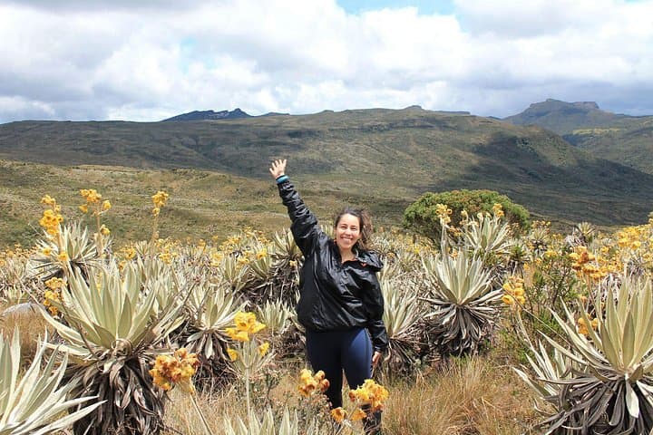 Private Chingaza Hike from Bogotá: Day Trip to Andean Páramo and Lagoons