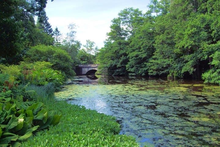 Half-Day Private Country Gardens Tour from London — Wisley, Savill & Kew