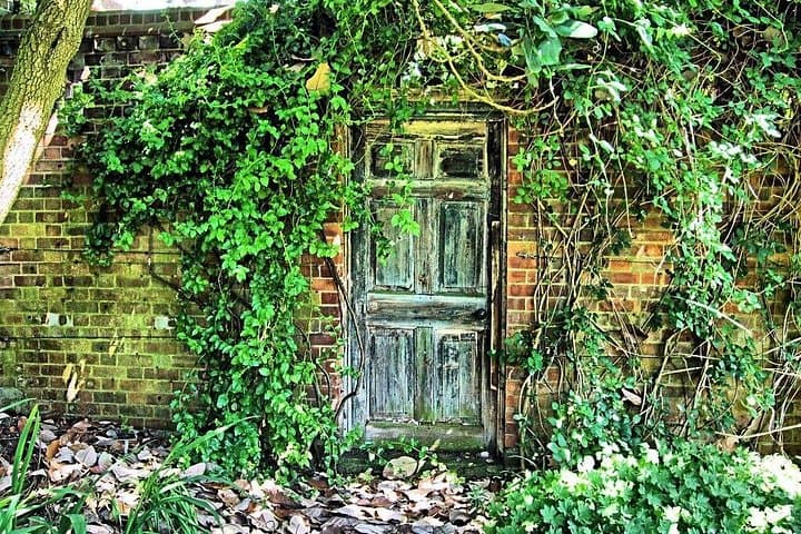 Half-Day Private Country Gardens Tour from London — Wisley, Savill & Kew photo 3
