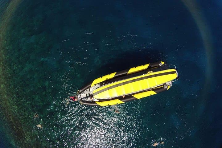 Molokini Snorkel & Turtle Tour from Kihei — 5-Hour Maui Adventure