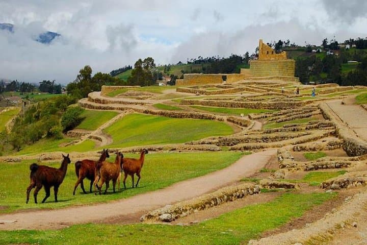 Ingapirca Ruins Day Trip: Explore Inca & Cañari Heritage from Cuenca photo 3