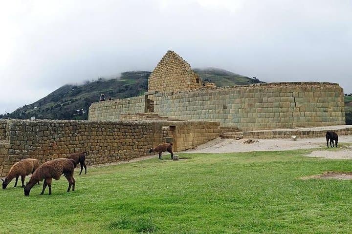 Ingapirca Ruins Day Trip: Explore Inca & Cañari Heritage from Cuenca photo 4