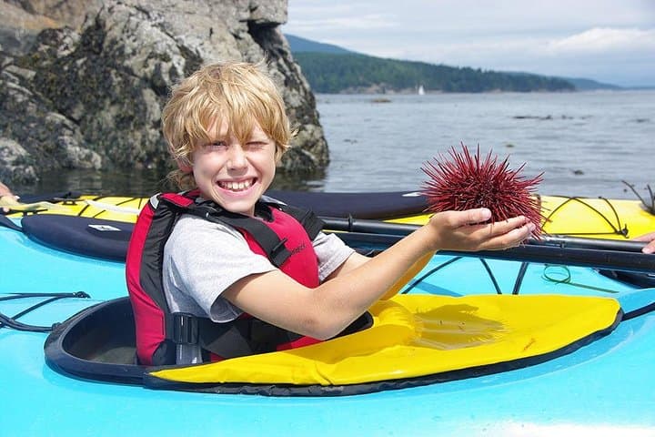 Bowman Bay Kayak Tour: Beginner-Friendly Paddling in Deception Pass State Park photo 3