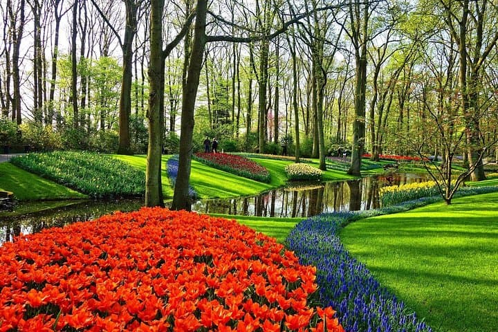 Keukenhof and Zaanse Schans Private Tour from Amsterdam: Tulips, Windmills & Cheese photo 1